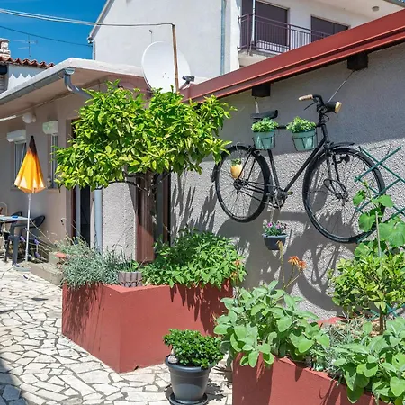 Apartment Beautiful In With Wifi